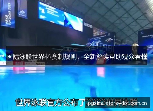 国际泳联世界杯赛制规则，全新解读帮助观众看懂