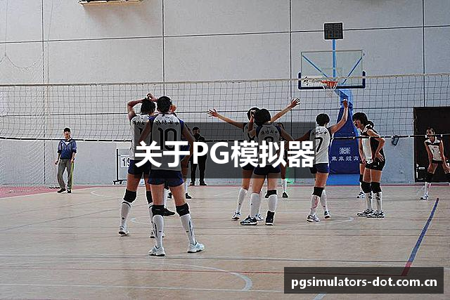 关于PG模拟器